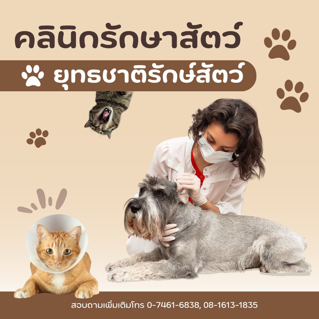 คลินิกรักษาสัตว์ ยุทธชาติรักษ์สัตว์ พัทลุง